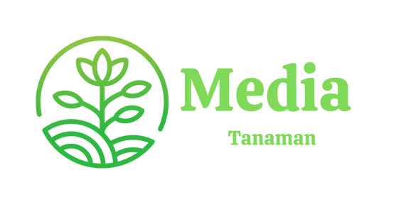 Media Tanaman